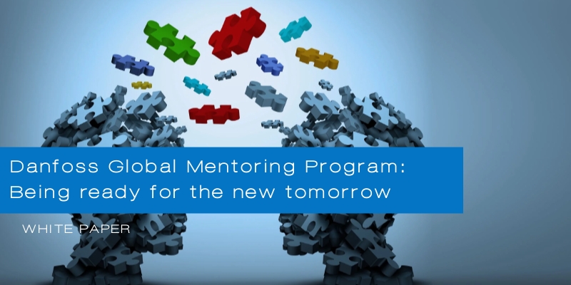 WP Danfoss global program