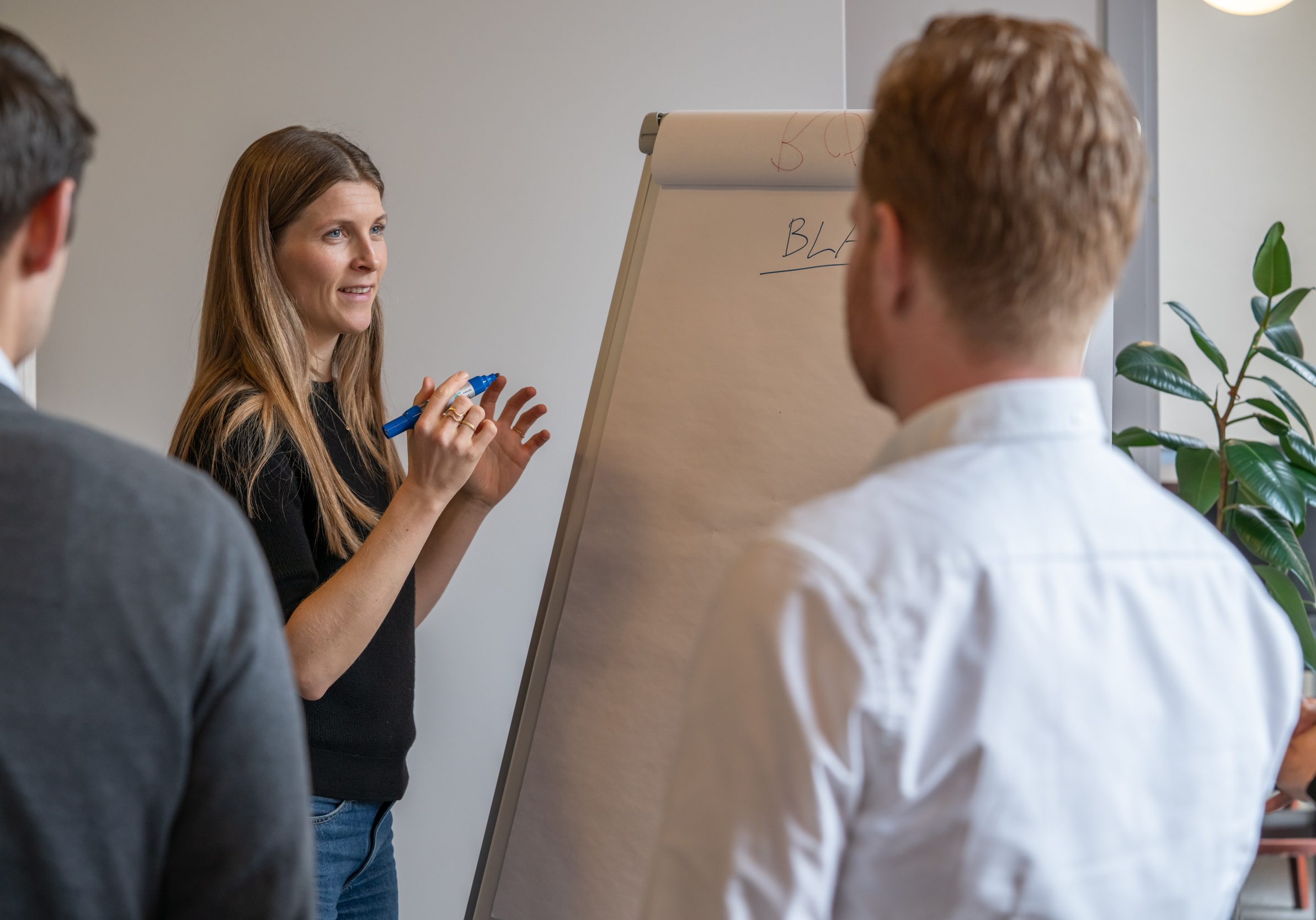 Accredited mentor facilitator